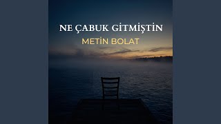 Miniatura - Ne Çabuk Gitmiştin