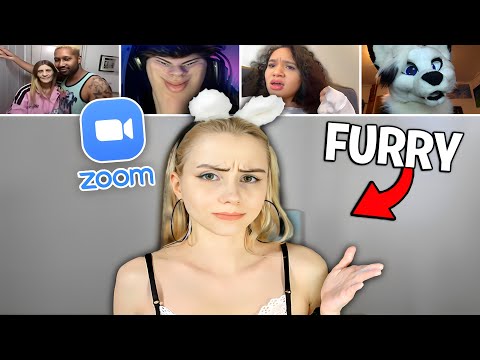 Trolling FURRY Zoom Class!