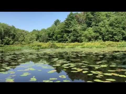 Magical canoe trip on the lake