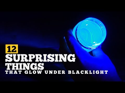 download lagu mp3 mp4 What Glows Under Black Light, download lagu What Glows Under Black Light gratis, unduh video klip What Glows Under Black Light