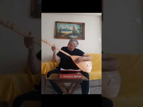 GELSİN                                                AŞIK MAZLUMİ