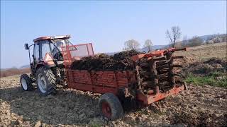 YTO 454 i SIP VTG 2700 - razbacivanje stajnjaka