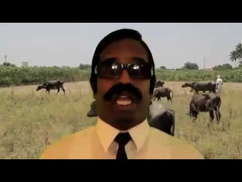 Indian Head wobble- Funny expressions