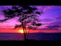 Yasmin Levy - Naci en Alamo (J.Viewz Remix ...