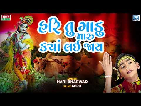 Hari Tu Gadu Maru Kya Lai Jay | Hari Bharwad | Superhit Bhajan | હરિ તુ ગાડુ મારુ ક્યાં લઇ જાય