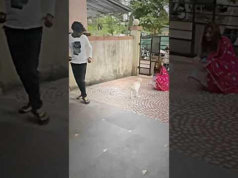 Surprise visit❤️ #love #dogs