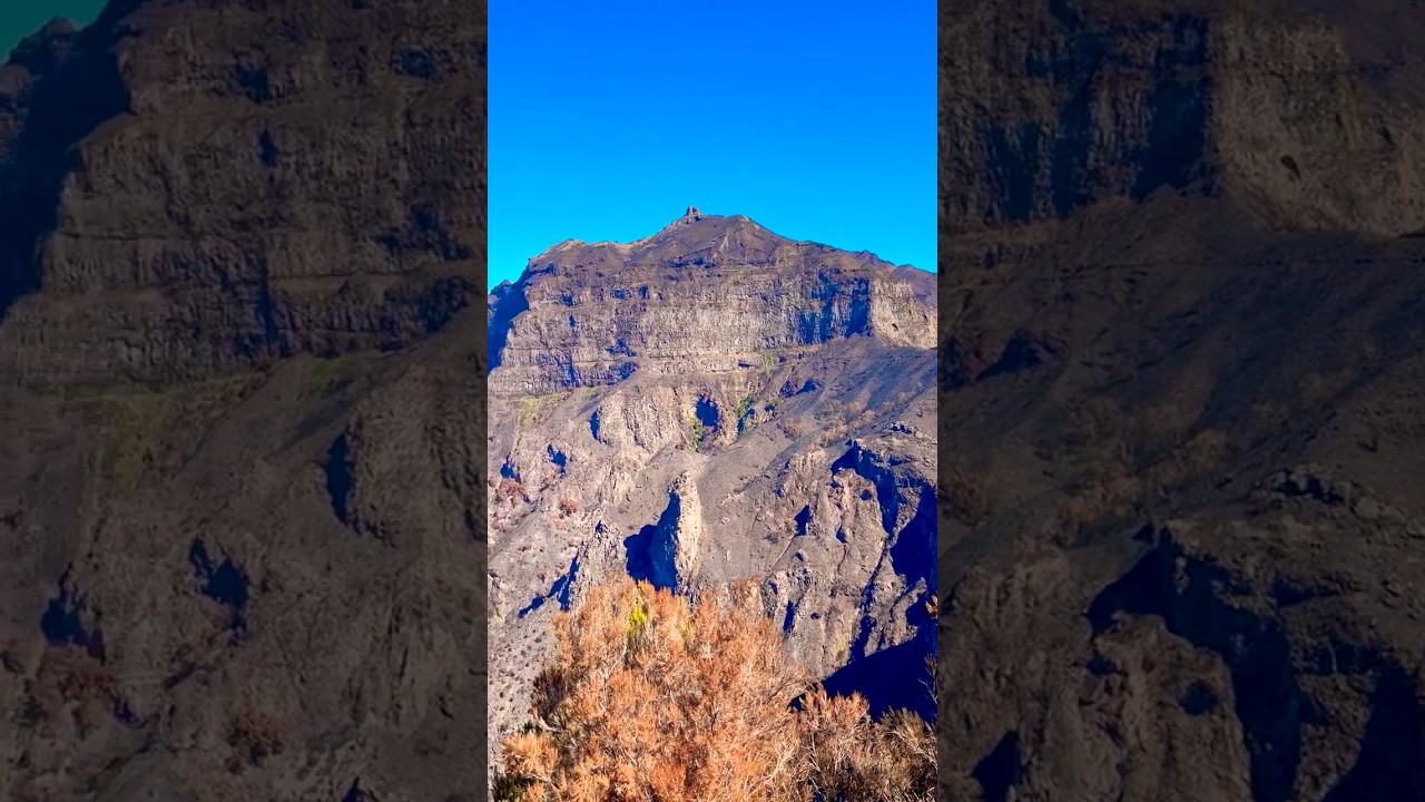 YouTube Short thumbnail