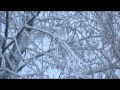 Февральский снегопад в Москве (муз-ое видео) Правообладатель: The Orchard Music ...