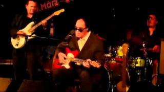 Louisiana Red with Al Jones BandReigen live 30 4 2011 Vienna Blues Spring Video