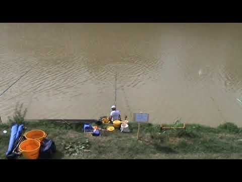 Pasturazione pesante Castelfranco di Sotto