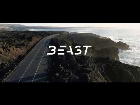 BEAST Disc Wheel - DW 20" TL