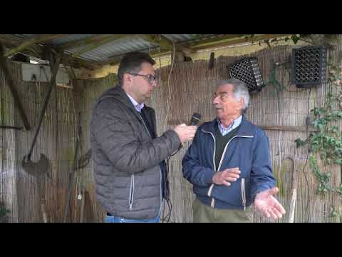 TG VILLA DI VERZUOLO - NONA PUNTATA