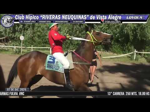 ARMAS FOGOZO - Vista Alegre - Nqn. 07-12-25@fotochartloyola23