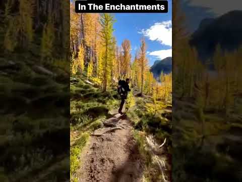 You Dont Care - The Larches