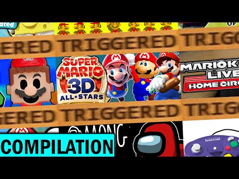 Every 2020 TRIGGERS You Video!