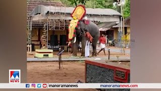 പാപ്പാനെ ചവിട്ടിത്തെറിപ്പിച്ച് ആന; ഇടഞ്ഞത് ക്ഷേത്രോത്സവത്തിന് കൊണ്ടുവന്ന ആന video