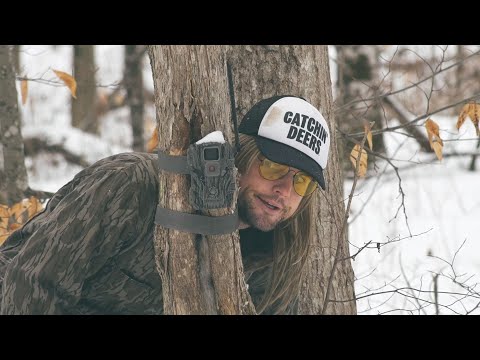 Rut Daniels Target Whitetail Buck | The Loin Ranger