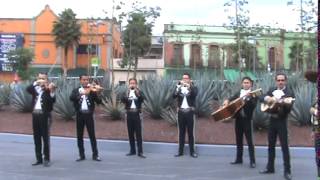 "SERENATA HUASTECA" MARIACHI LOS AMIGOS Raul Pizano