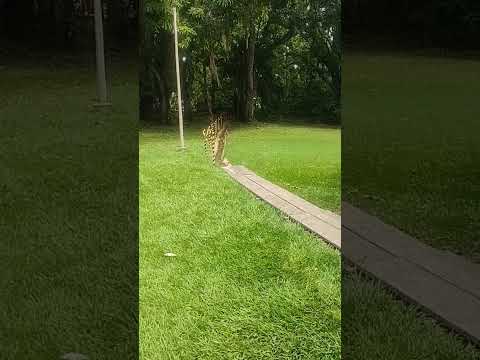 Sesc de Caldas Novas -GO