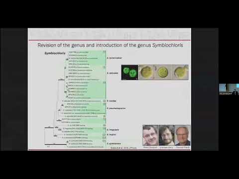 BD-Seminar 2023/01/25: Connecting the (green) dots: