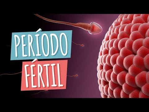 Imagem ilustrativa do vídeo: Cómo calcular los días fértiles