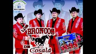 LOS BRONCOS DE COSALA 2014- CHICO FUENTES