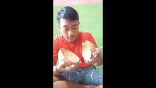 Download lagu cara membuat celengan dari tempurung kelapa!!! mp3
