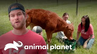 Thumbnail del capítulo