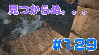 #129ドラゴンズドグマ　見つからぬ。。。　 (DDDA)「switch」