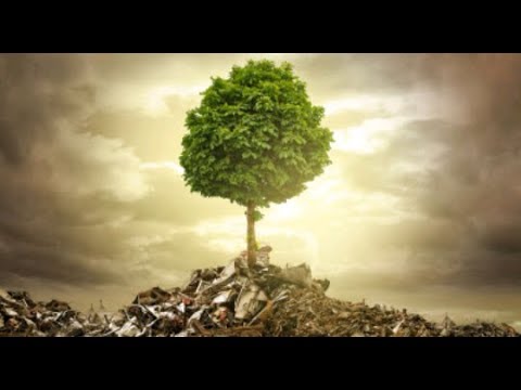 MEDIUM | Vermittler der Jenseitigen verblüffen Skeptiker 🌳