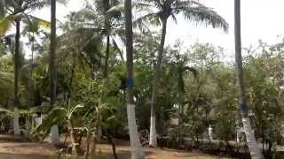 preview picture of video 'Alibaug Farm house.'