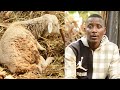 Yantama ivuga nkabantu Twayigezeho | Burya yavuye muri Tanzania | imaze imyaka 52 kwisi