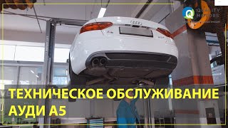 Техническое обслуживание Audi A5