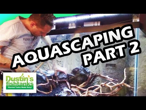 How to Aquascape an Aquarium Part 2 with Oliver Knott - Aquarium Hardscape Video