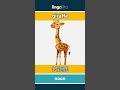 giraffe - 长颈鹿 video thumbnail