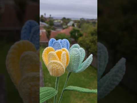 ##shorts #youtubeshorts #youtube #crochet #amigurumi #flowers