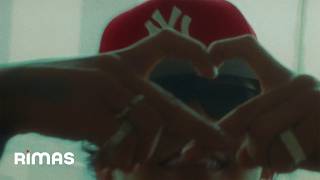 LoSIENTES? Lyrics English Translation