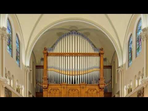 BBC Seated one Day at the Organ - A celebration of the organ.