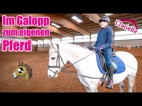 Im Galopp zum eigenen Pferd | Reiterhof | Reitunterricht | Clarielle