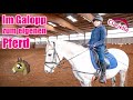 Im Galopp Zum Eigenen Pferd Reiterhof Reitunterricht Clarielle