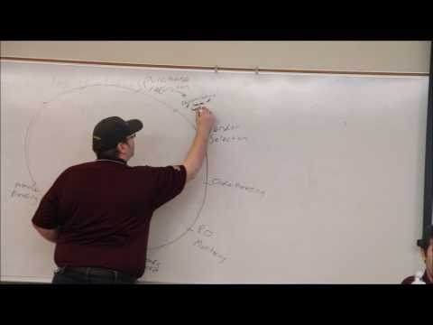 CMU SAP SUG -  ERP Basics Meeting 2017