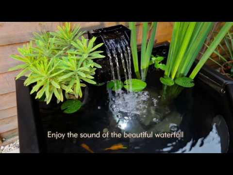 Slide 11 - Blagdon Affinity View Half-Moon pool (video)