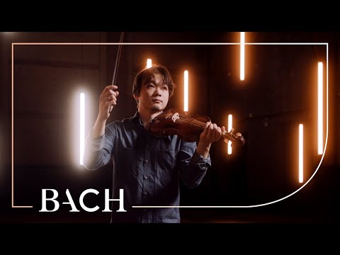Bach - Violin Partita no. 3 in E major BWV 1006 - Sato | Netherlands Bach Society