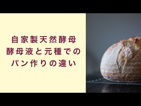 [Levadura natural casera] ¿Cuál es la diferencia entre hacer pan con levadura líquida y levadura original? Levadura de frutas Levadura natural casera Clase de pan Apertura de clases Osaka, Nara, Tokio, Nagoya Curso online