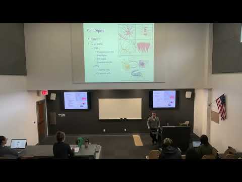 Nervous System Diseases 1of2