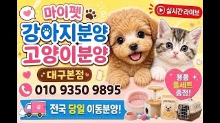 유튜브 썸네일