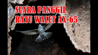 Download lagu Suara Panggil Super Ratu Walet || Khusus Pengguna Tweeter Piezo mp3