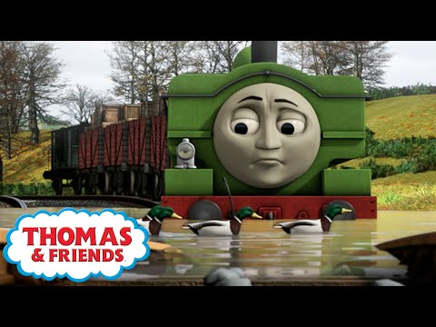 Thomas & Friends™ | Duck In The Water | Best Train Moments | Cartoons for Kids