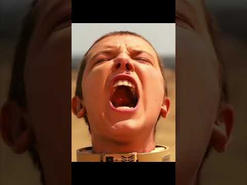 Eleven destroys helicopter