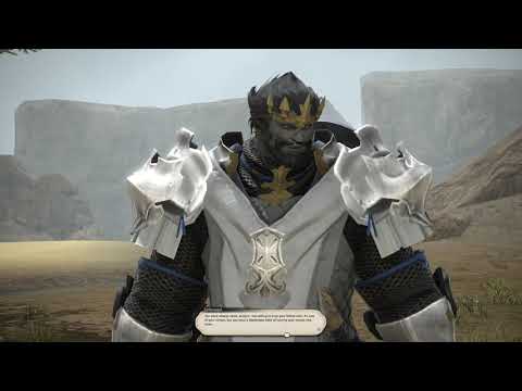 lvl 45 Paladin Quest